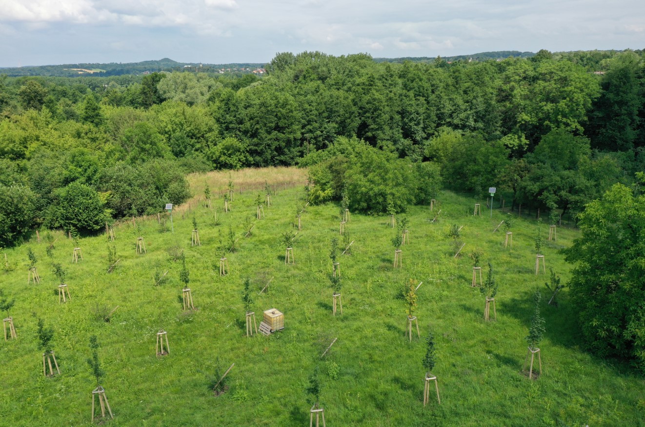 Radvanice target area from drone view (Source: Silesian University in Opava). Radvanice target area from drone view