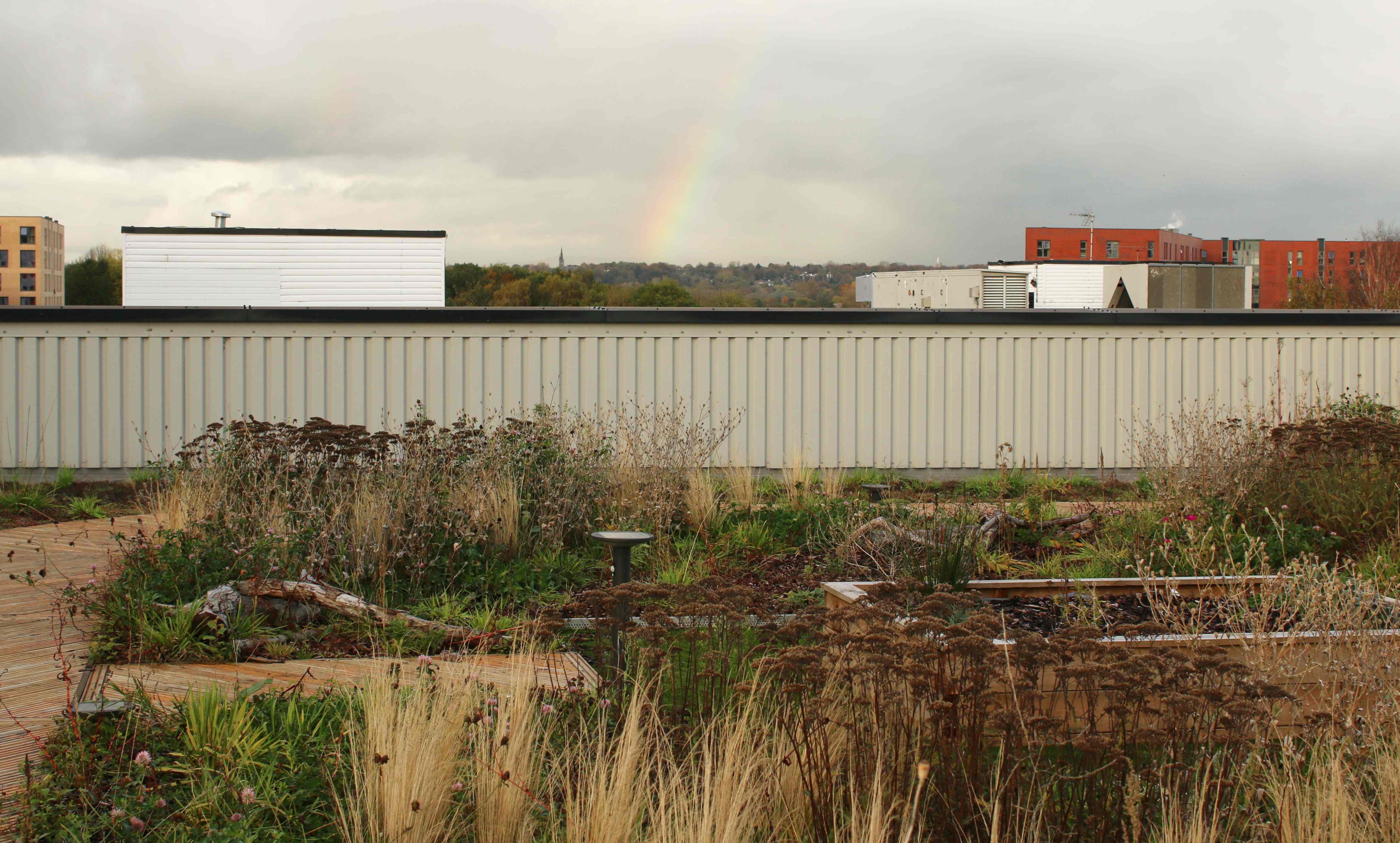 green roof