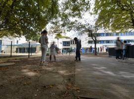 OASIS Schoolyard