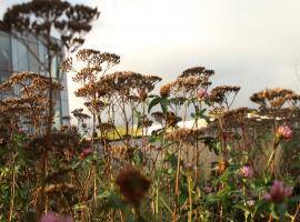 green roof