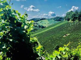 Picture Janja Viher Maribor InnoRural's online marketplace